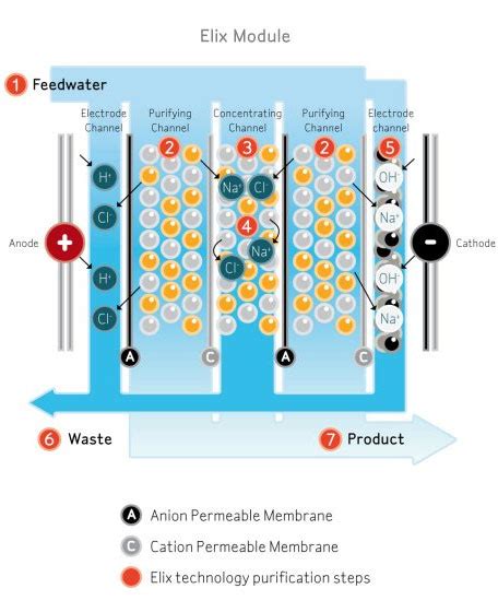Purification Techniques Tutorial .